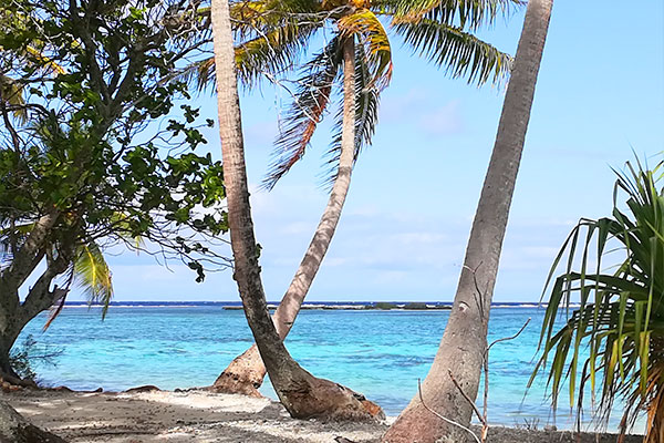 tour de Tahaa en 4x4 tour de Tahaa en 4x4
