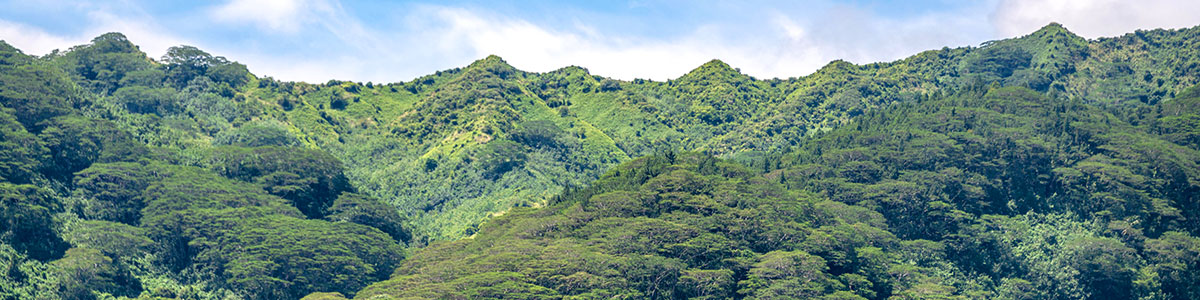 Paysages de Tahaa Paysages de Tahaa