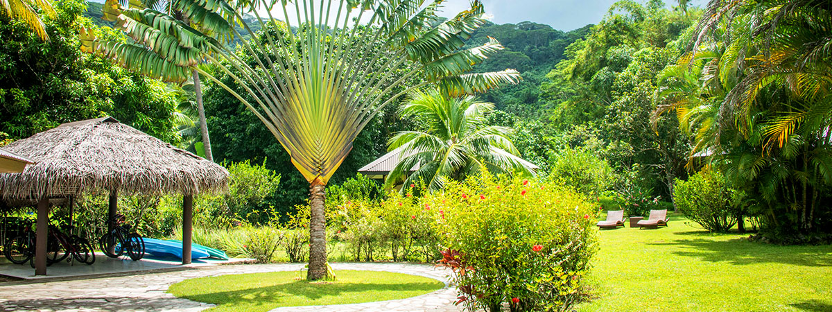 Pension de famille Titaina Jardin